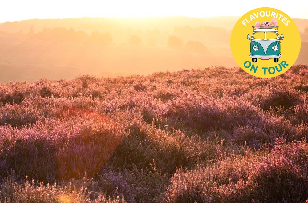 Expeditie Achtertuin Expeditie Achtertuin